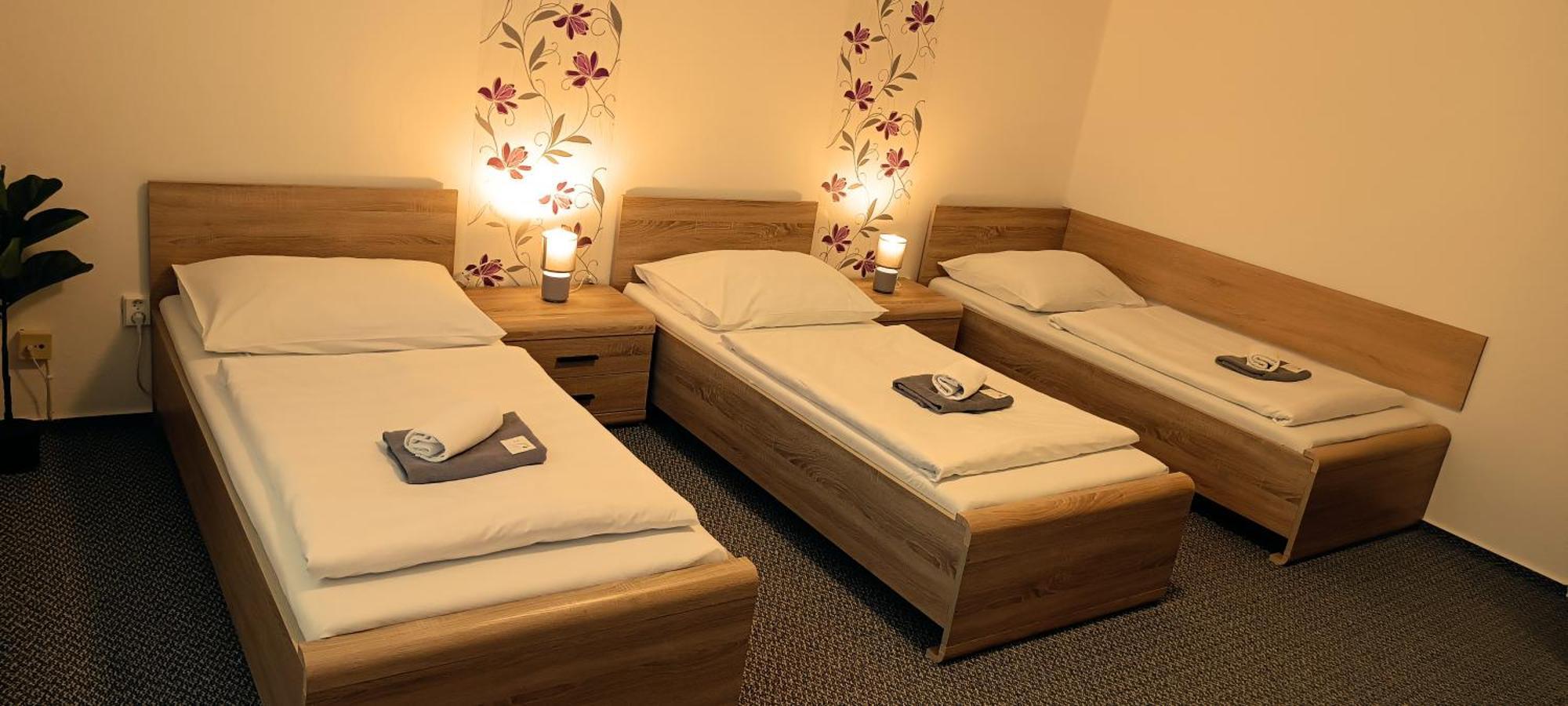 Penzion Starr Havlíčkův Brod Extérieur photo